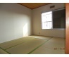 DSCN1482.JPG