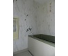 DSCN0844.JPG