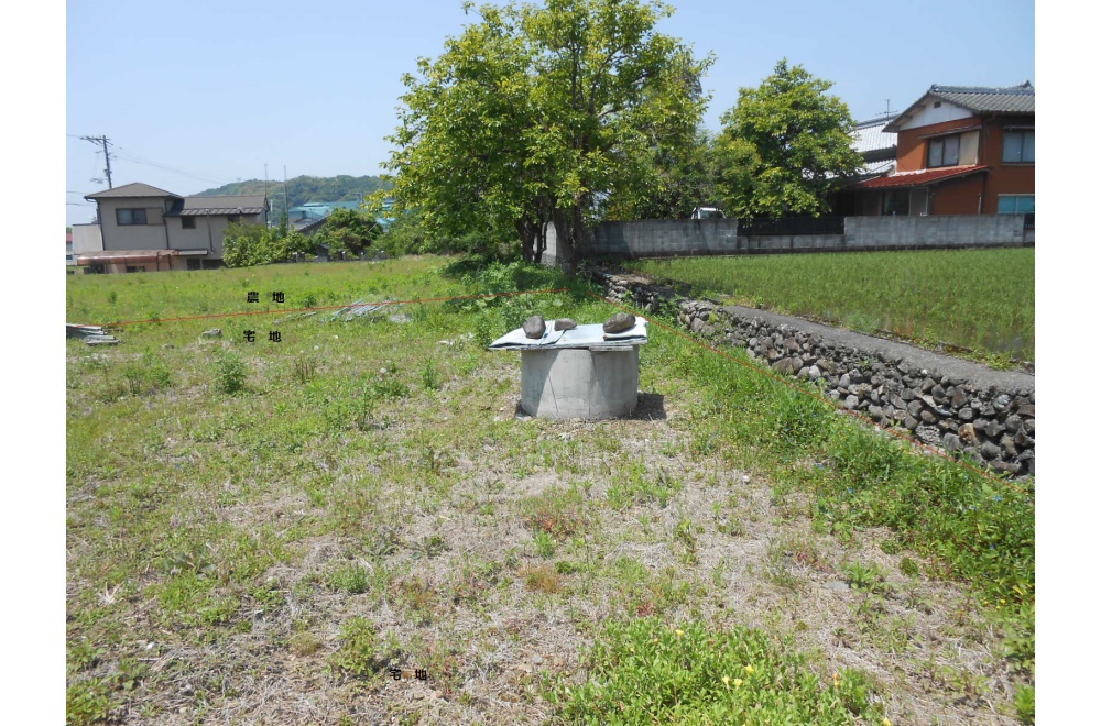 DSCN2937 - コピー.JPG